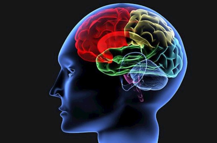 Brain Injury – A Disease Process
